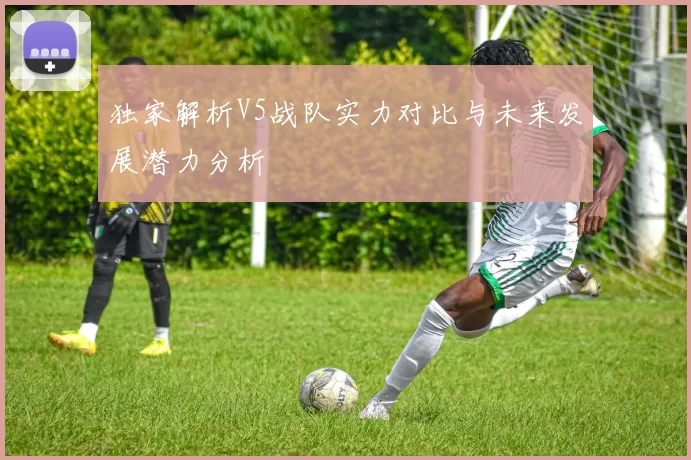 独家解析V5战队实力对比与未来发展潜力分析