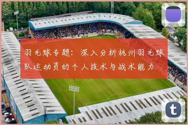 羽毛球专题：深入分析杭州羽毛球队运动员的个人技术与战术能力