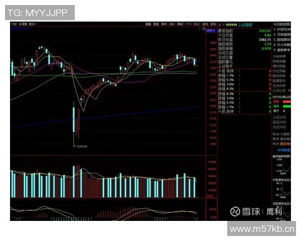 聚焦A股指数走势分析与未来投资机会探讨 聚焦A股指数走势分析与未来投资机会探讨